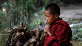 Little Monk | Siem Reap