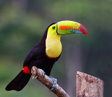 Costa Rica