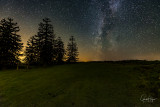 Milky Way and Monkey Puzzle Trees