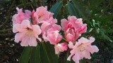 20170421_160919.jpg