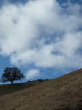 SAM_8781.JPG