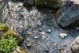 Kenrokuen Garden, Kanazawa