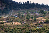 Village