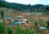 Village