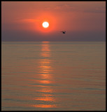 Sunset near Grönhögen - Öland