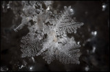 Frost formation Hammarstrand Jämtland