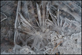 Frozen puddle - Kalix