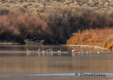 SCENES FROM NW COLORADO
