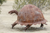Giant Tortoise