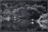 Georgia Black and White Photography