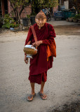 Monk Elder
