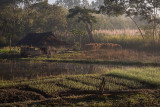 Nyaung Shwe Idyll