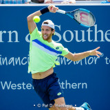 Joao Sousa, 2017