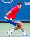 Juan Martin Del Potro, 2017