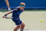 David Ferrer, 2017