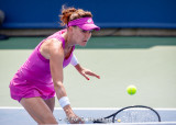 Agnieszka Radwanska, 2017