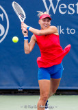 Elena Vesnina, 2017