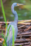 Hunting