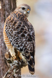 Keeping watch