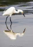 Mirrored profile