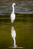 Standing tall
