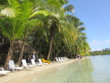 Pick a lounger for the day