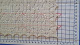 295-2.jpg