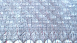 296-03.jpg