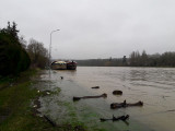 Les quais de la Seine sous leau-143038L.jpg