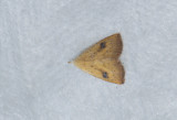 Trofta Blekinge 10.7-17