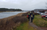 Större gulbena Stora amundön Västergötland 23.12-17
