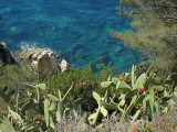 lloret-de-mar-costa-brava_15.jpg