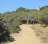 lloret-de-mar-costa-brava_19.jpg
