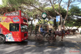 malta-citysightseeing-South-Route_36.JPG