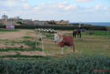 Fort-Rinella-Malta_42.JPG