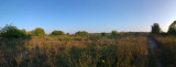 panorama-parcul-vacaresti-bucuresti_02.jpg