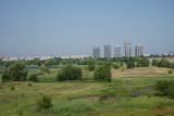 Sony-A7-III-creative-style-standard.JPG