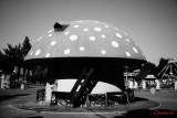 Sony-ILCE-7M3-picture-effect-high-contrast-mono.JPG