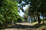 test-sony-a7-iii-_15.JPG