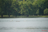test-sony-a7-iii-_55.JPG