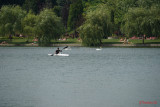 test-sony-a7-iii-_68.JPG