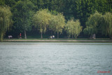 Sony-100-400-GM-OSS_13.JPG
