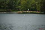 Sony-100-400-GM-OSS_24.JPG