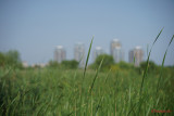 Sony-100-400-GM-OSS_68.JPG