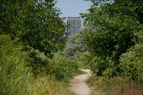 Sony-100-400-GM-OSS_81.JPG