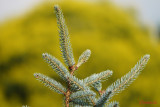 Sony-100-400-GM-OSS_101.JPG