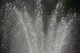 Sony-100-400-GM-OSS_105.JPG