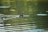 test-Sony-100-400-GM-OSS_07.JPG