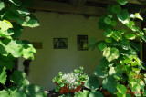 muzeul-satului-timisoara_04.JPG