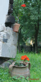 muzeul-satului-timisoara_39.JPG